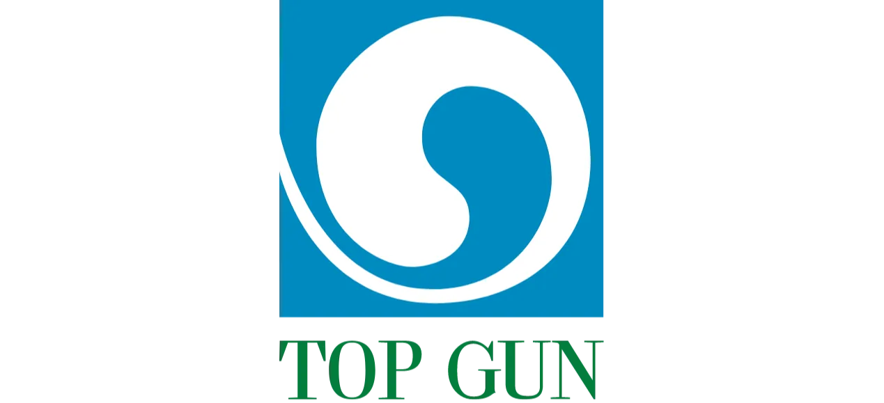 Top Gun 2